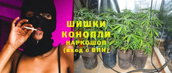 PSILOCYBIN Краснослободск