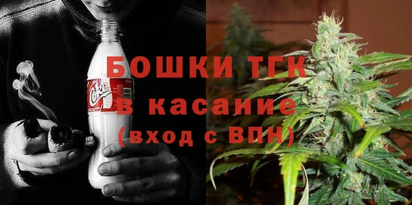 PSILOCYBIN Краснослободск