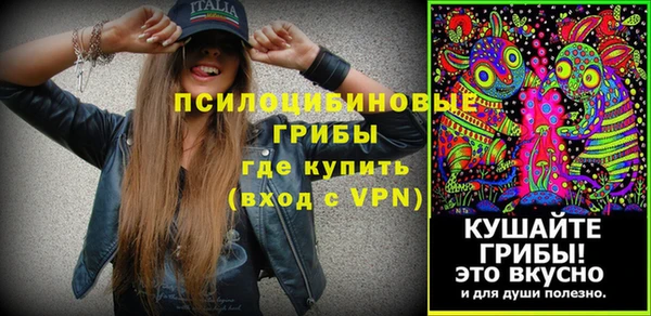 PSILOCYBIN Краснослободск