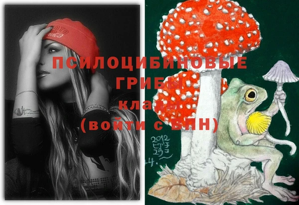 PSILOCYBIN Краснослободск