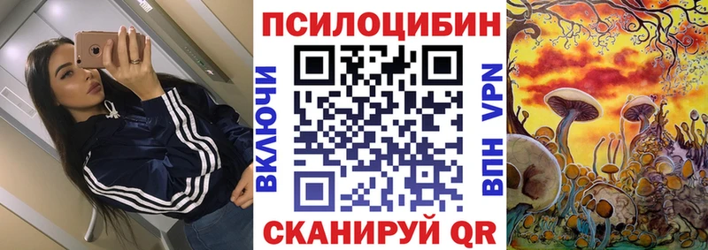 Галлюциногенные грибы Cubensis  Купить  Алексин 